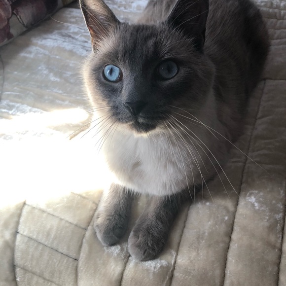 Meet your Posher, Miriam - Picture 2 of 2